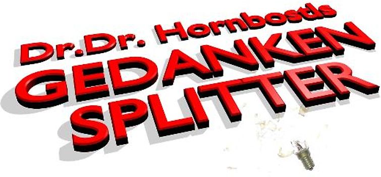 Gedankensplitter