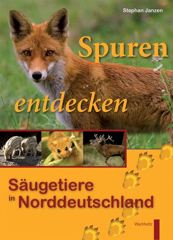 Spuren entdecken - Säugetiere in Norddeutschland