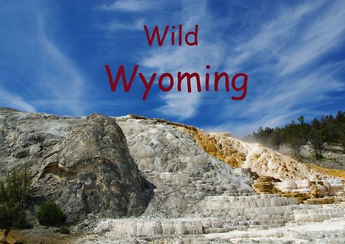 Wild Wyoming / UK-Version (Poster Book DIN A4 Landscape)