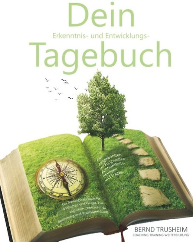 Dein Erkenntnis- und Entwicklungstagebuch
