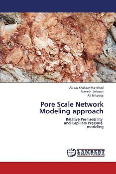 Pore Scale Network Modeling approach