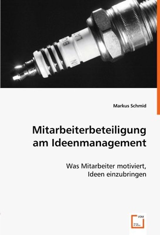 Mitarbeiterbeteiligung am Ideenmanagement: Was Mitarbeiter motiviert, Ideen einzubringen - Markus Schmid