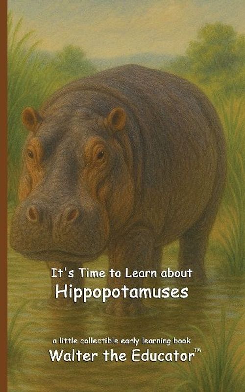 It's Time to Learn about Hippopotamuses