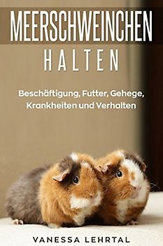 Meerschweinchen halten: Beschäftigung, Futter, Gehege, Krankheiten und Verhalten