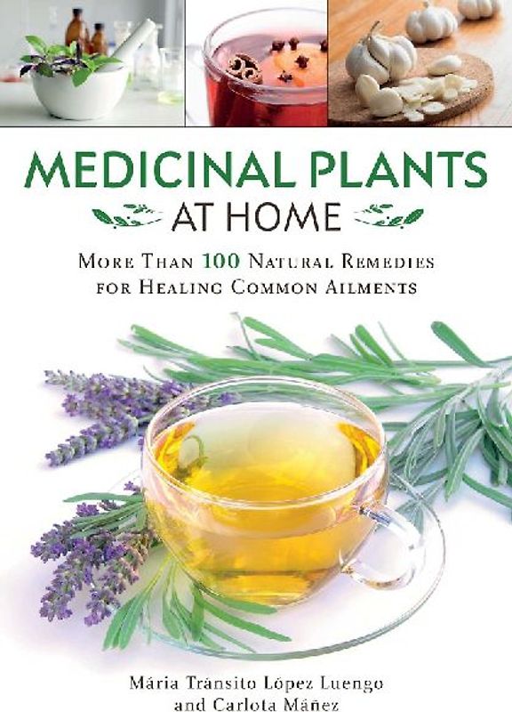 Medicinal Plants at Home