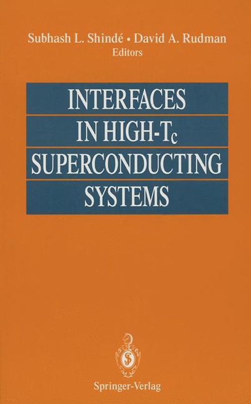 Interfaces in High-Tc Superconducting Systems