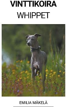 Vinttikoira (Whippet)