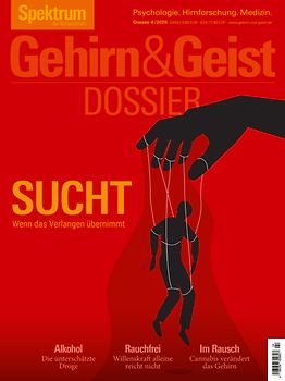 Gehirn&Geist Dossier 4/2025 Sucht