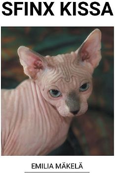 Sfinx Kissa