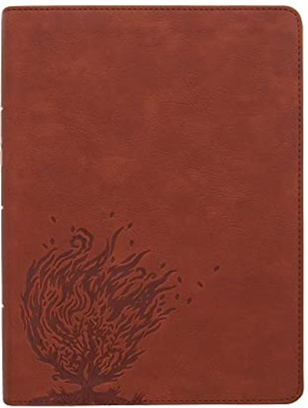 CSB Experiencing God Bible, Burnt Sienna Leathertouch