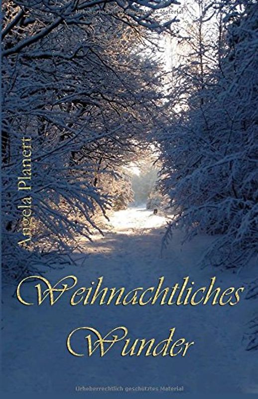 Weihnachtliches Wunder - Planert, Angela