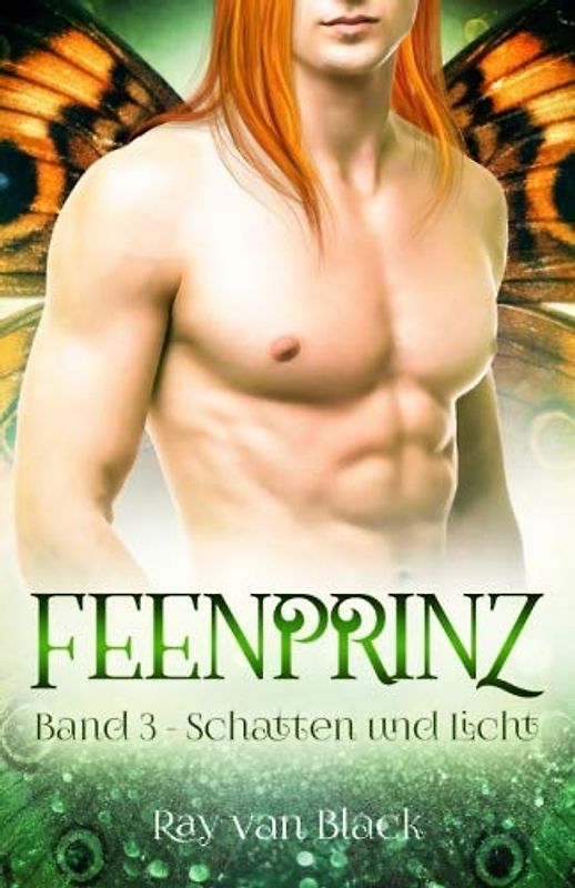 Feenprinz - Band 3: Schatten und Licht - Gay Fantasy (Feenprinz-Reihe, Band 3)