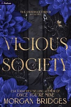 Vicious Society