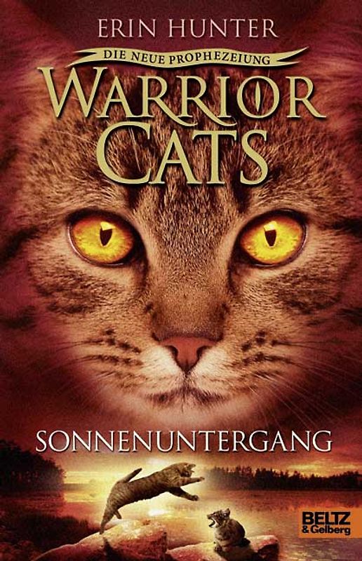 Warrior Cats - Die neue Prophezeiung. Sonnenuntergang