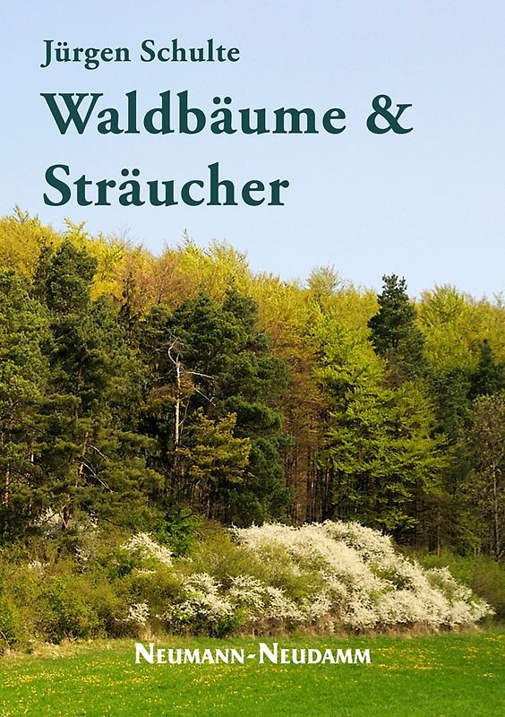 Waldbäume und Sträucher