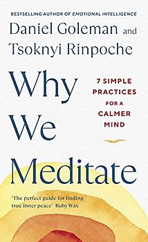 Why We Meditate