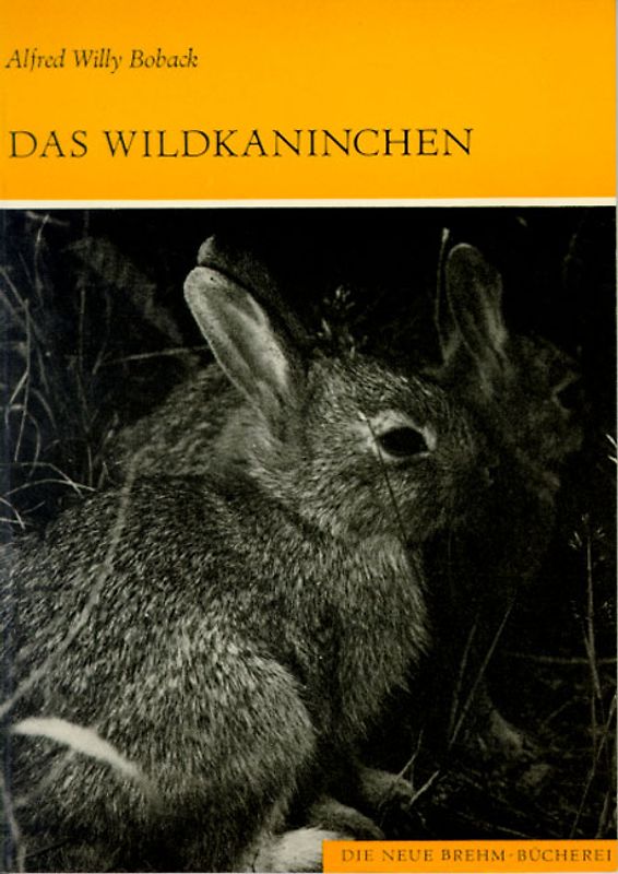 Das Wildkaninchen