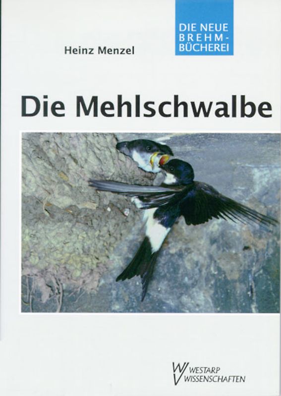 Die Mehlschwalbe