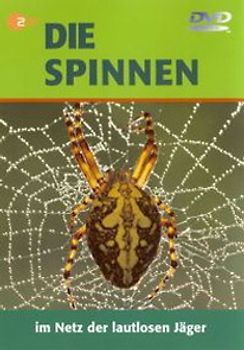 Spinnen DVD