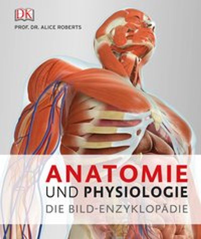 Anatomie und Physiologie