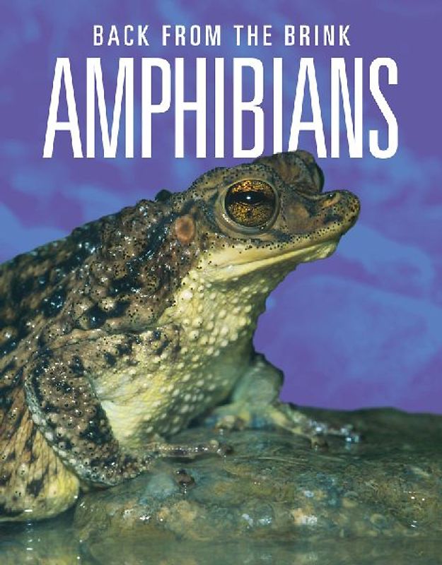Amphibians: Back from the Brink