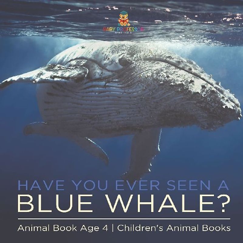 Have You Ever Seen A Blue Whale? Animal Book Age 4 | Children's Animal Books