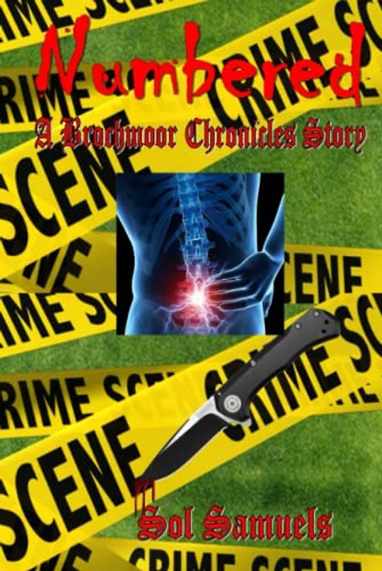 Numbered: A Brochmoor Chronicles Story