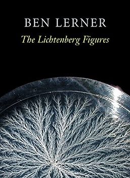 The Lichtenberg Figures