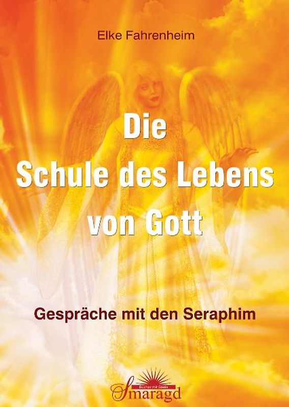 Die Schule des Lebens von Gott