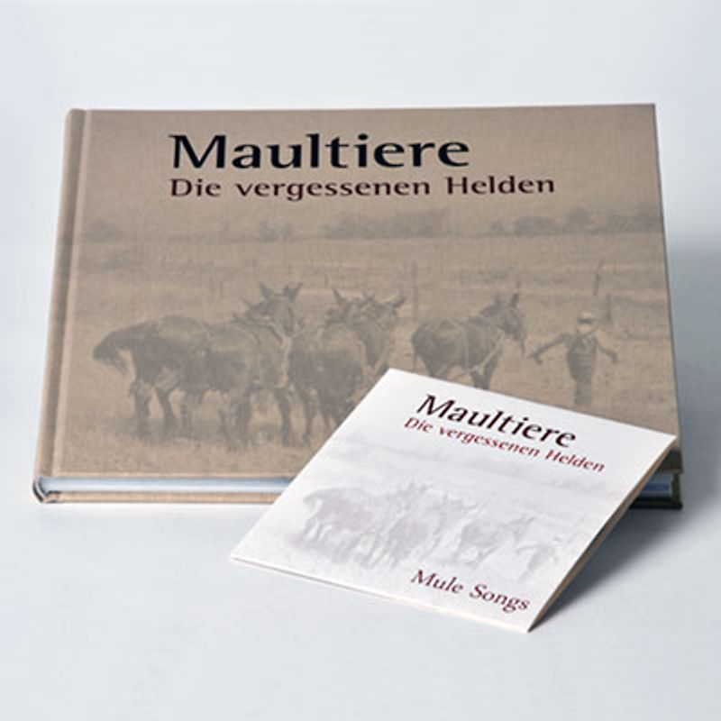 Maultiere - die vergessenen Helden