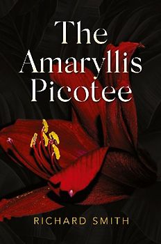 The Amaryllis Picotee