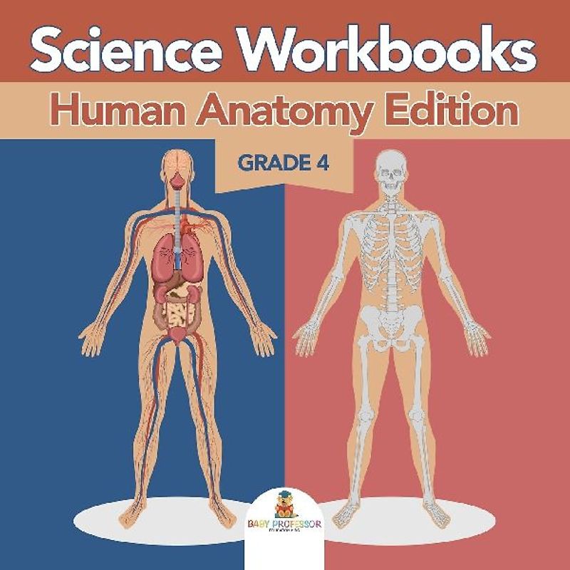 Grade 4 Science Workbooks