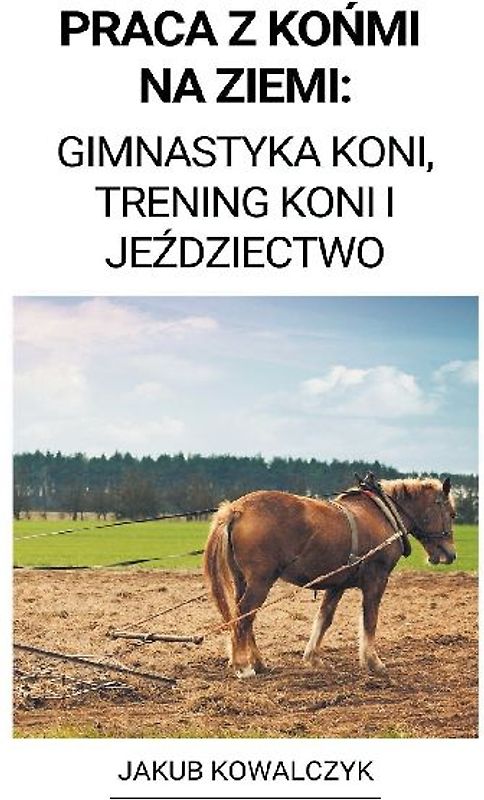 Praca z Końmi na Ziemi