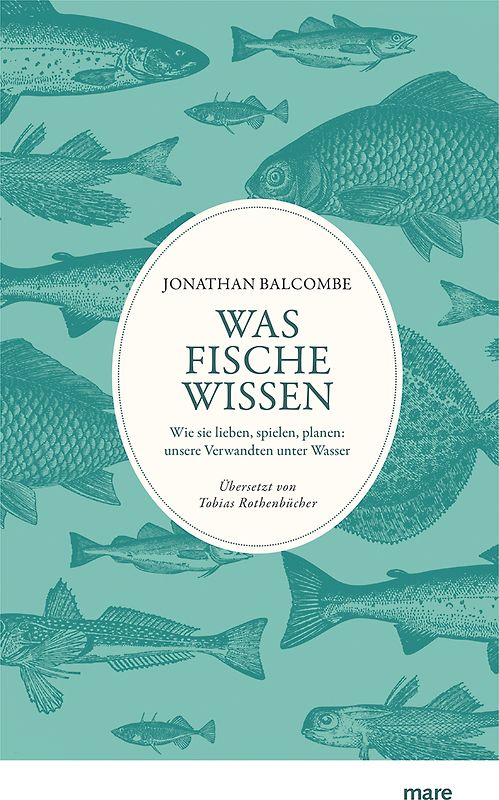 Was Fische wissen