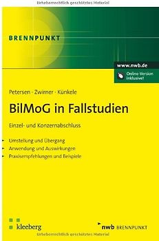 BilMoG in Fallstudien