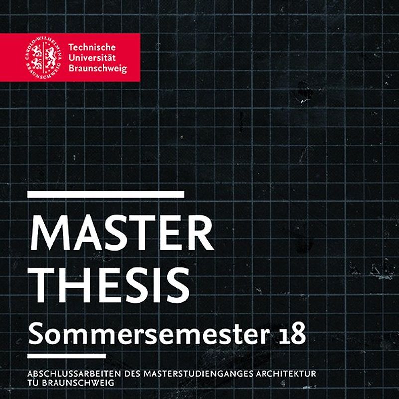 Master Thesis