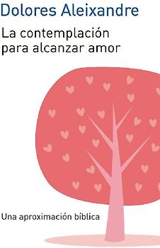 La contemplación para alcanzar el amor
