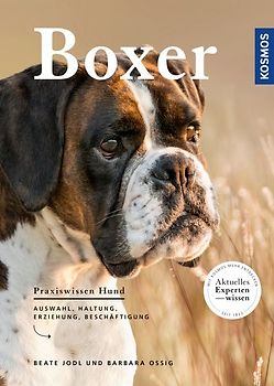 Boxer