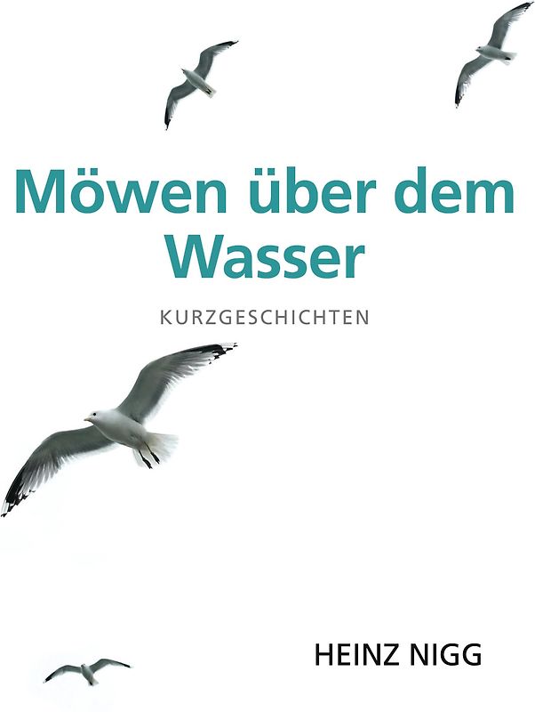 Möwen über dem Wasser
