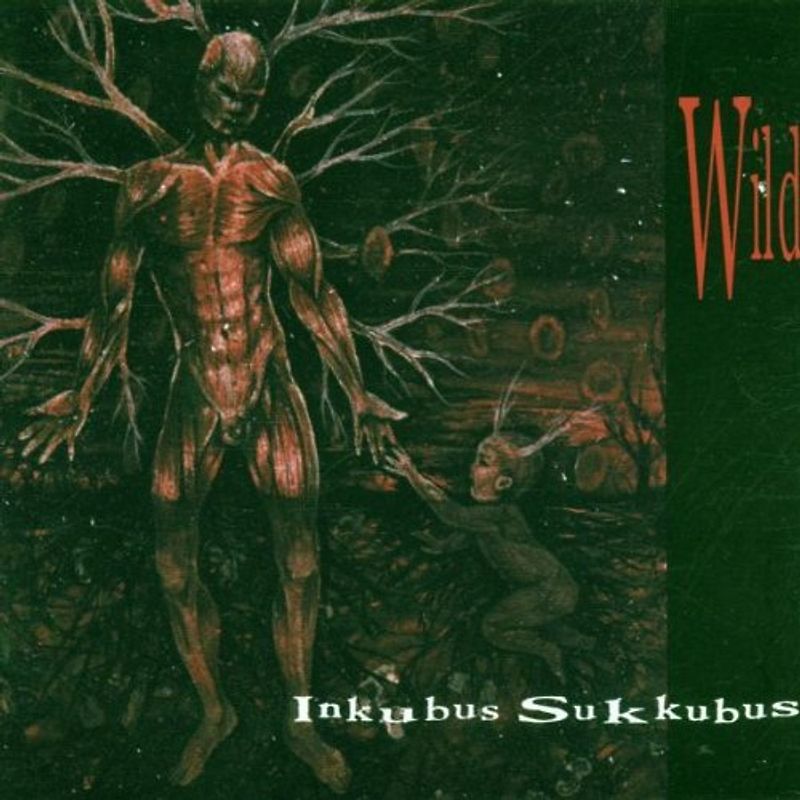 Inkubus Sukkubus - Wild