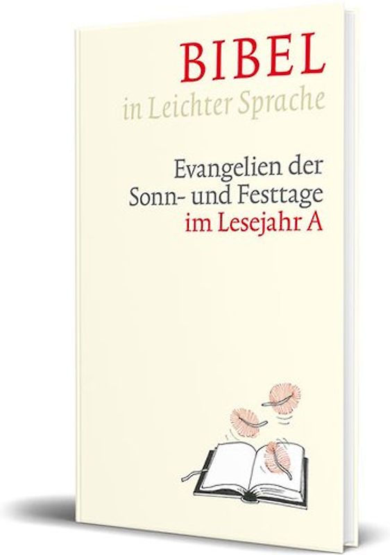 Bibel in Leichter Sprache