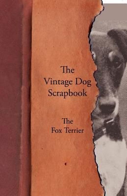 The Vintage Dog Scrapbook - The Fox Terrier