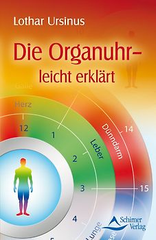 Die Organuhr - leicht erklärt