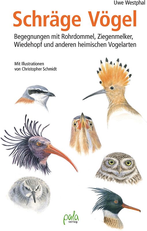 Schräge Vögel
