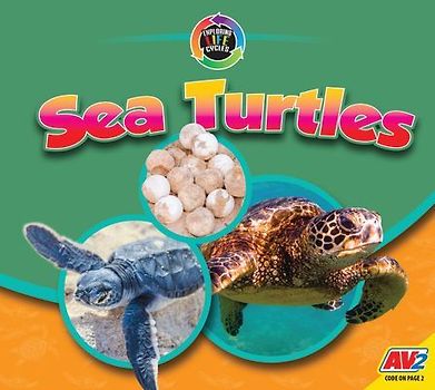 Sea Turtles