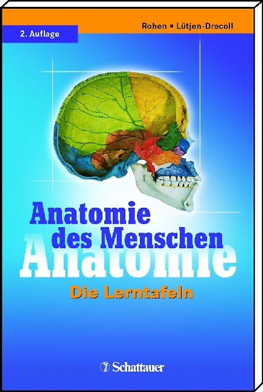 Anatomie des Menschen