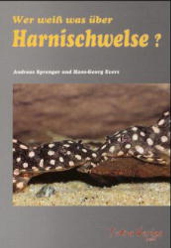 Wer weiss was über Harnischwelse