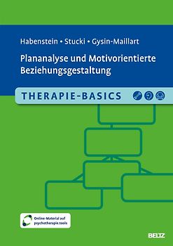 Therapie-Basics Plananalyse und Motivorientierte Beziehungsgestaltung