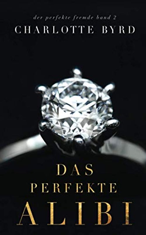 Das perfekte Alibi (Der perfekte Fremde, Band 2)