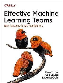 Effective Machine Learning Teams